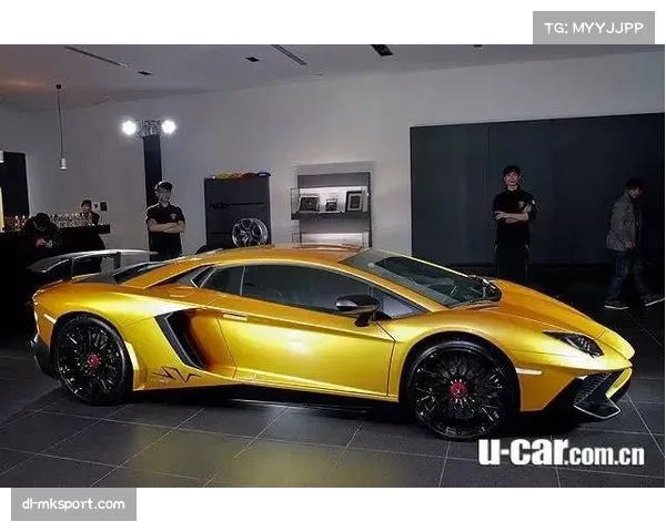 兰博基尼成为迷你罗首辆座驾，父亲礼物意义非凡